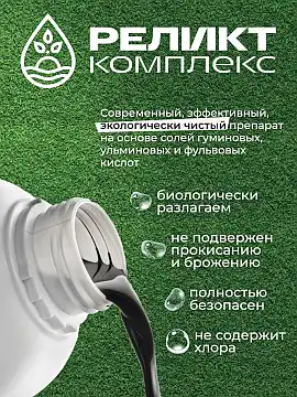 Реликт-Р — Комплекс